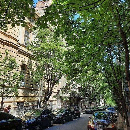 Apartment 51 - Bright, Spacious, Lux 1 Bedroom In The City Center - Stari Grad Beograd Ngoại thất bức ảnh